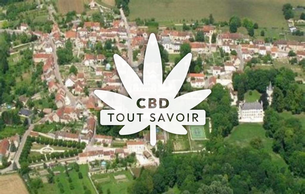 Village à Voulaines-les-Templiers avec feuille Cannabis CBD