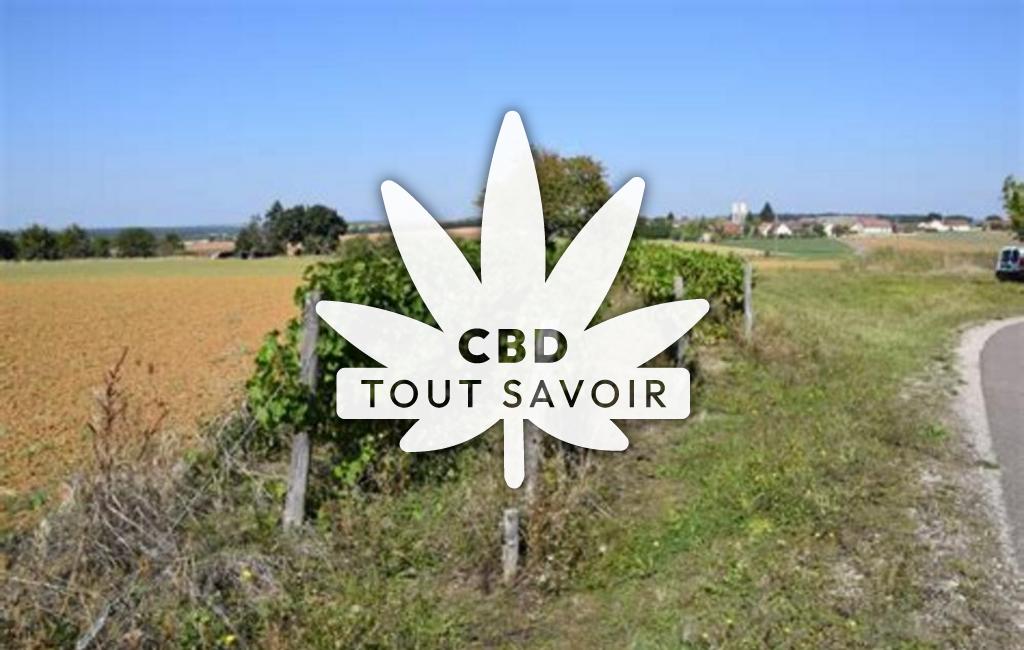 Village à Savolles avec feuille Cannabis CBD