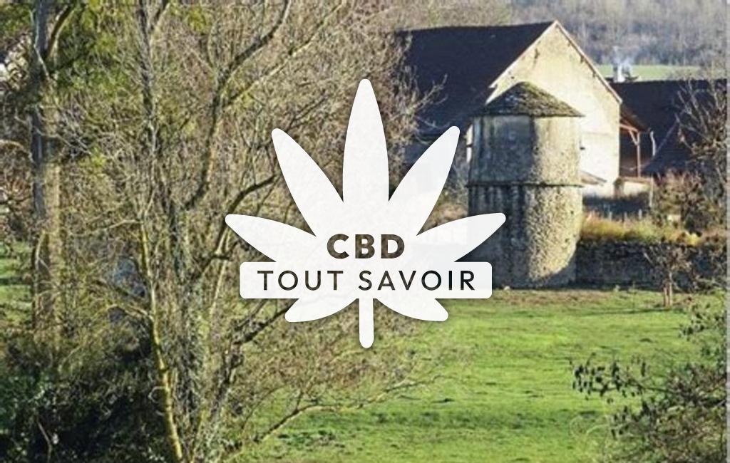 Village à Beurey-Bauguay avec feuille Cannabis CBD