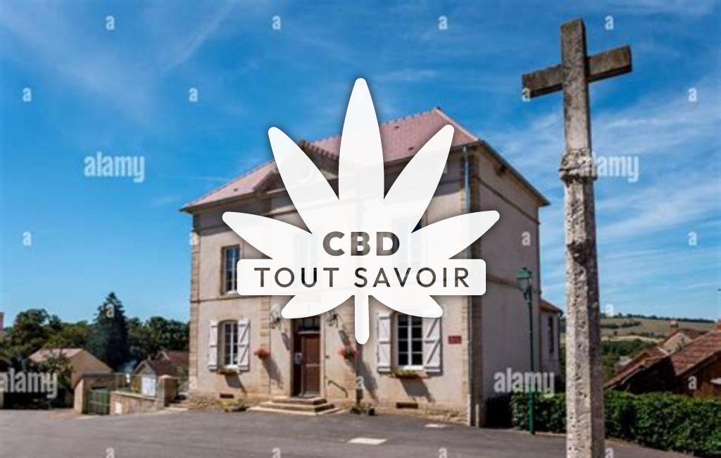 Village à Marcilly-Ogny avec feuille Cannabis CBD