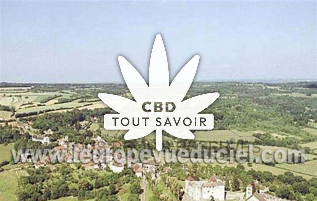 Village à Mont-Saint-Jean avec feuille Cannabis CBD
