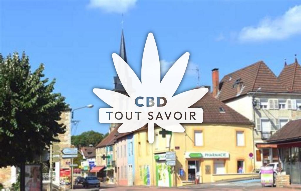 Village à Pouilly-en-Auxois avec feuille Cannabis CBD