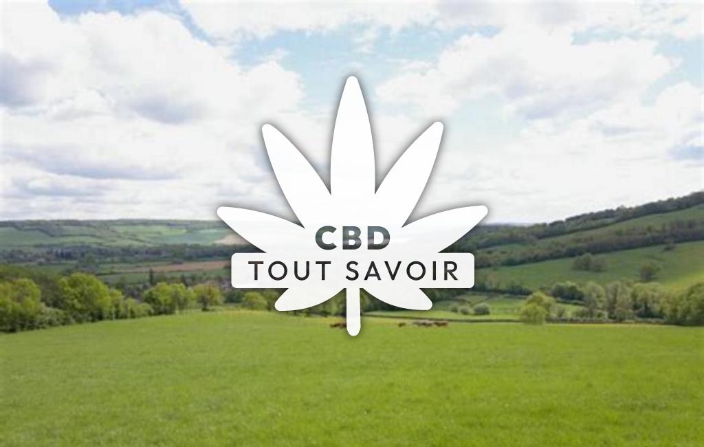 Village à Semarey avec feuille Cannabis CBD
