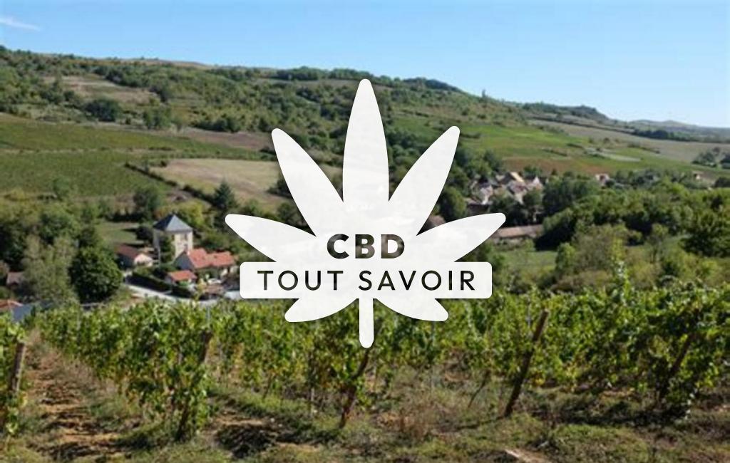 Village à Cormot-Vauchignon avec feuille Cannabis CBD