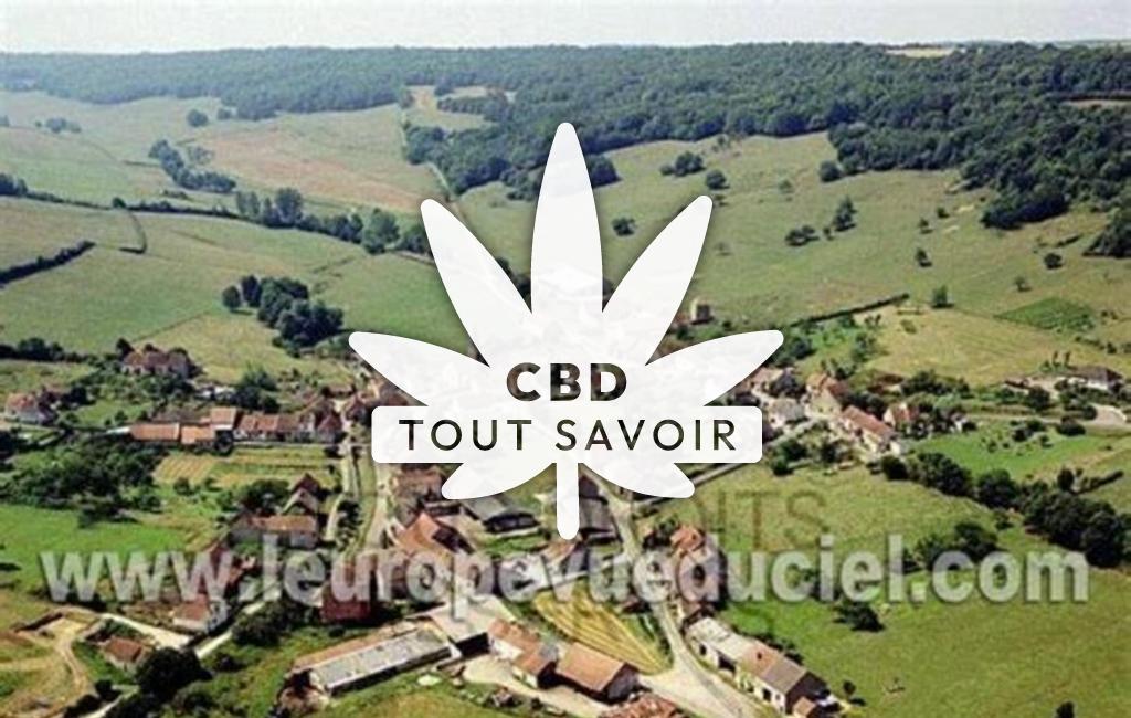 Village à Arnay-sous-Vitteaux avec feuille Cannabis CBD