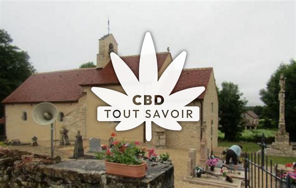 Village à Avosnes avec feuille Cannabis CBD