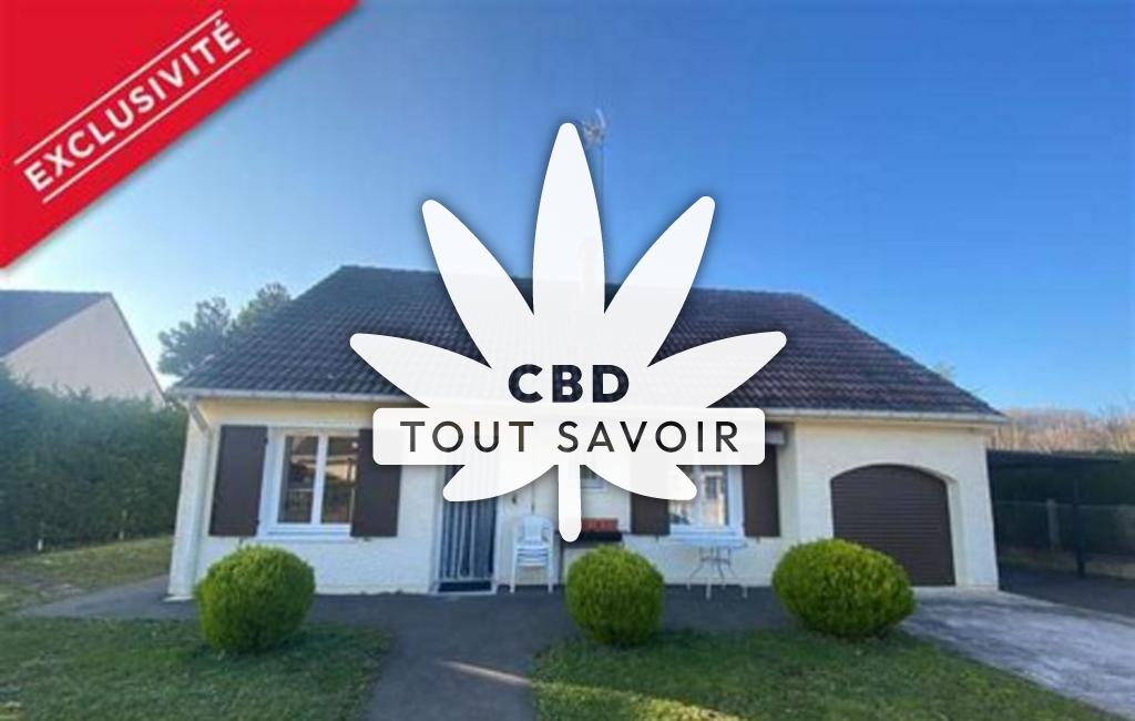Village à Charny avec feuille Cannabis CBD