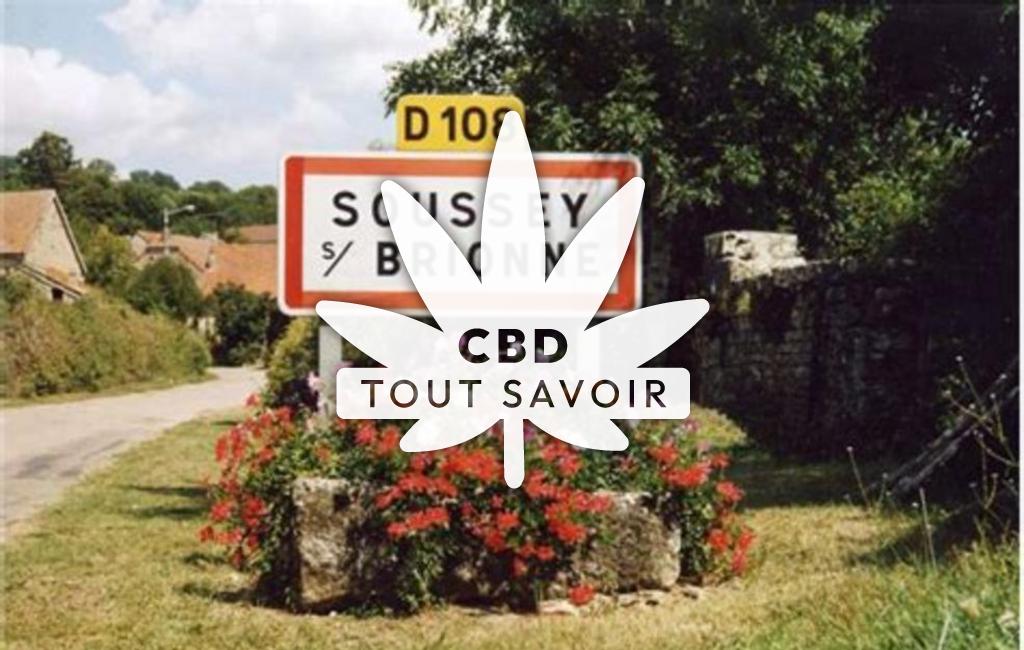 Village à Soussey-sur-Brionne avec feuille Cannabis CBD