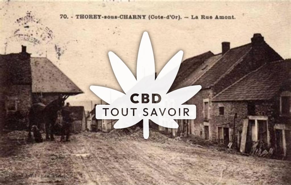 Village à Thorey-sous-Charny avec feuille Cannabis CBD