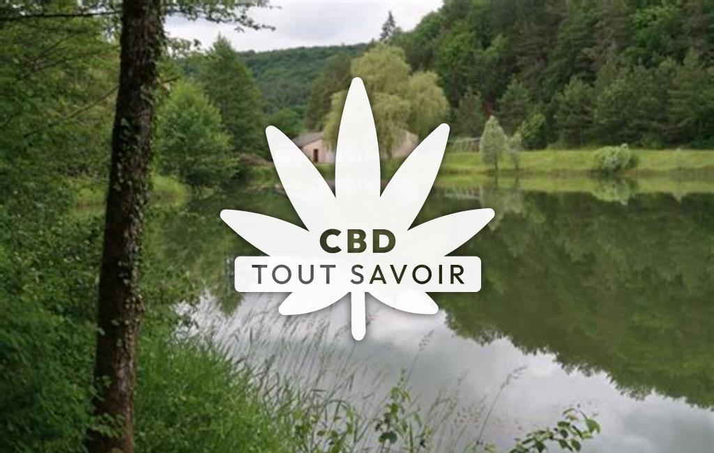 Village à Vesvres avec feuille Cannabis CBD