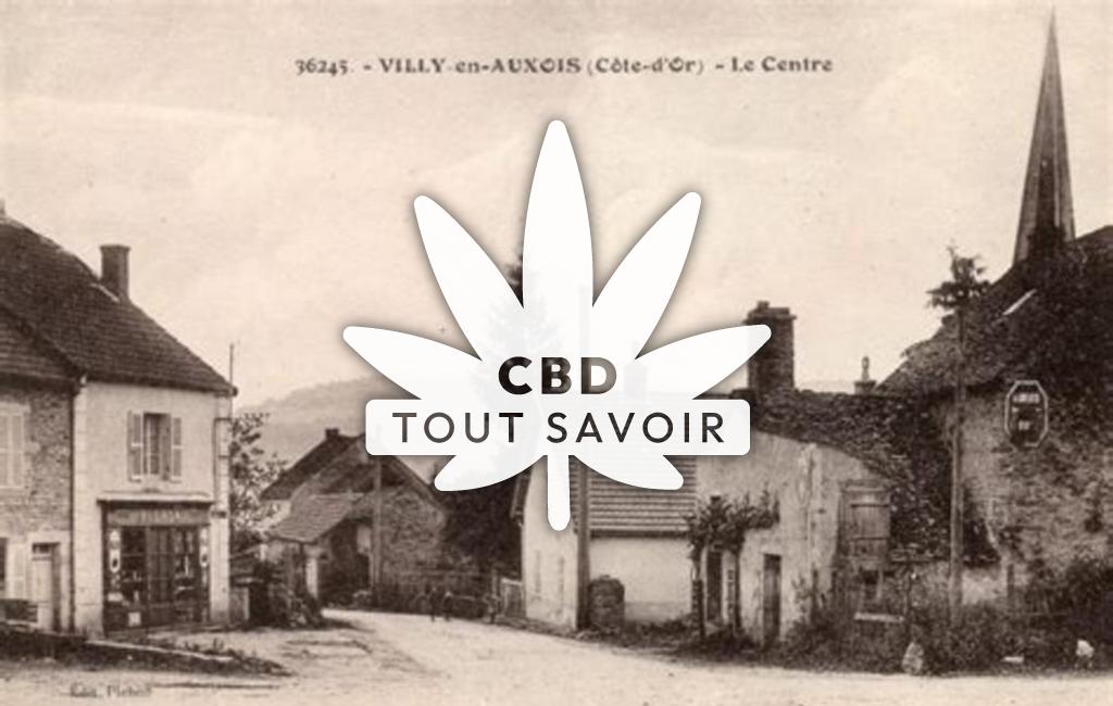 Village à Villy-en-Auxois avec feuille Cannabis CBD