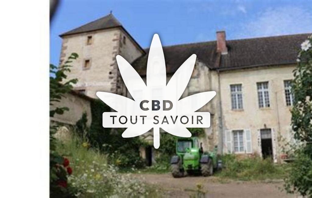 Village à Villeberny avec feuille Cannabis CBD