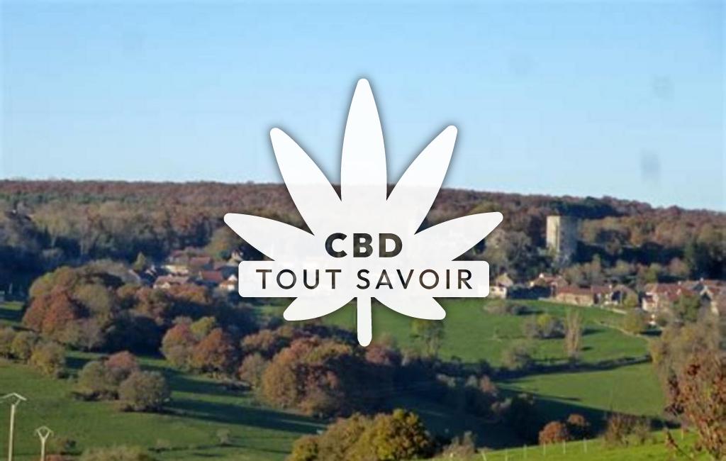 Village à Chaudenay-la-Ville avec feuille Cannabis CBD