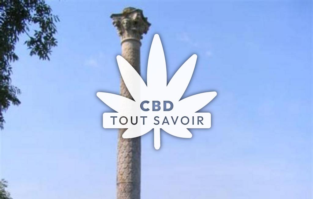 Village à Cussy-la-Colonne avec feuille Cannabis CBD
