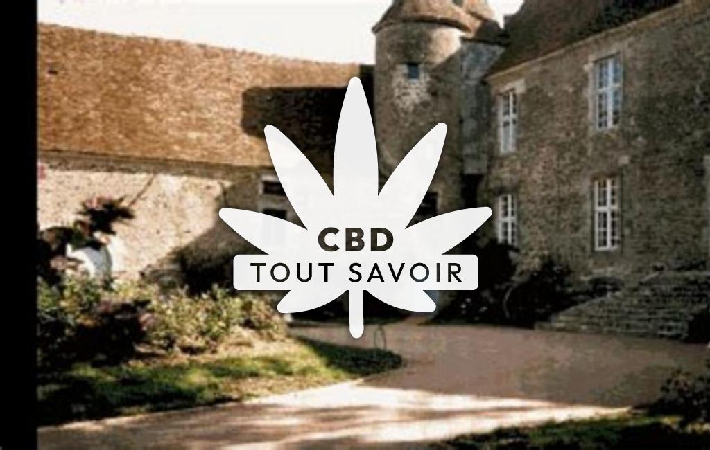 Village à Ecutigny avec feuille Cannabis CBD