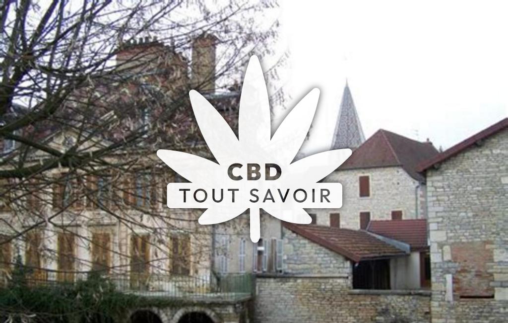 Village à Plombieres-les-Dijon avec feuille Cannabis CBD
