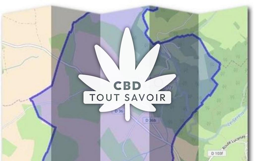 Village à Montigny-Saint-Barthelemy avec feuille Cannabis CBD