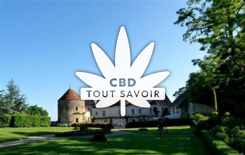 Village à Nan-sous-Thil avec feuille Cannabis CBD