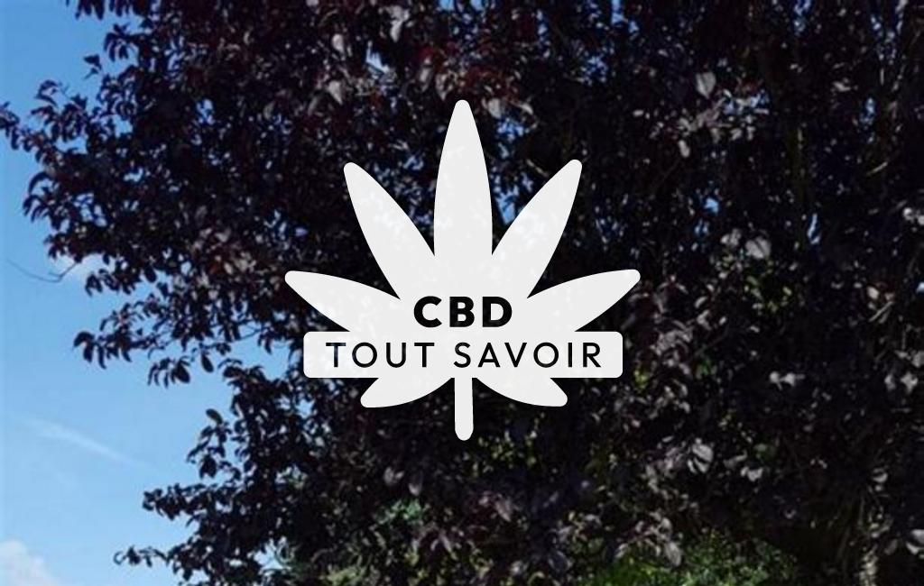 Village à Roilly avec feuille Cannabis CBD
