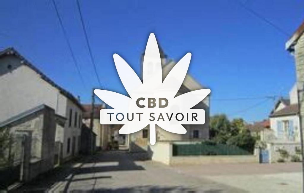 Village à Charrey-sur-Seine avec feuille Cannabis CBD