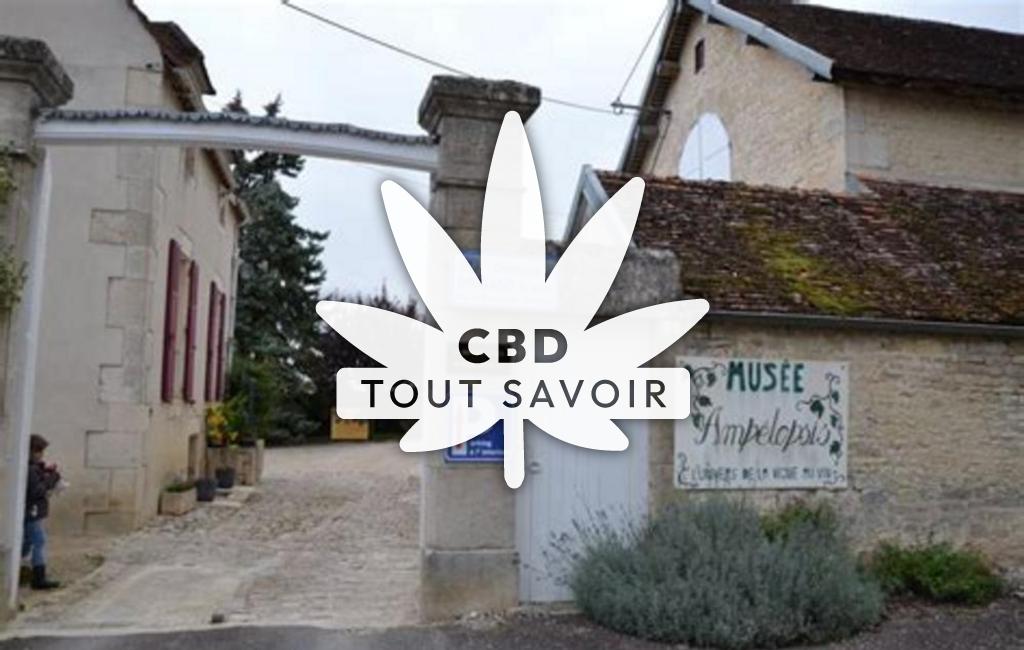 Village à Massingy avec feuille Cannabis CBD