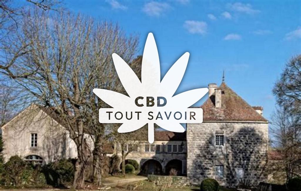Village à Puits avec feuille Cannabis CBD