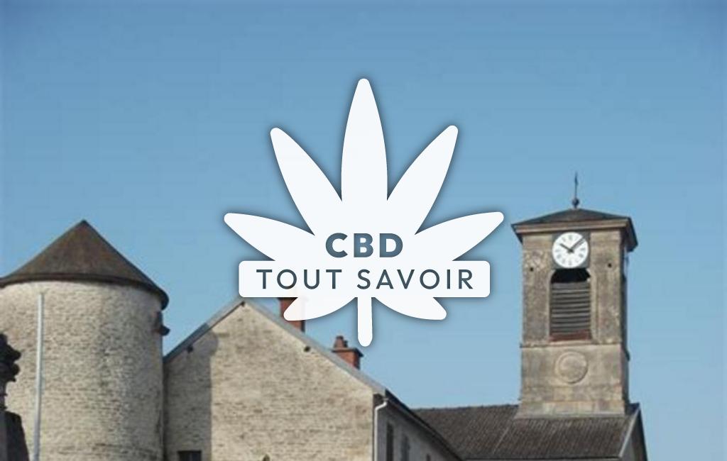 Village à Sainte-Colombe-sur-Seine avec feuille Cannabis CBD