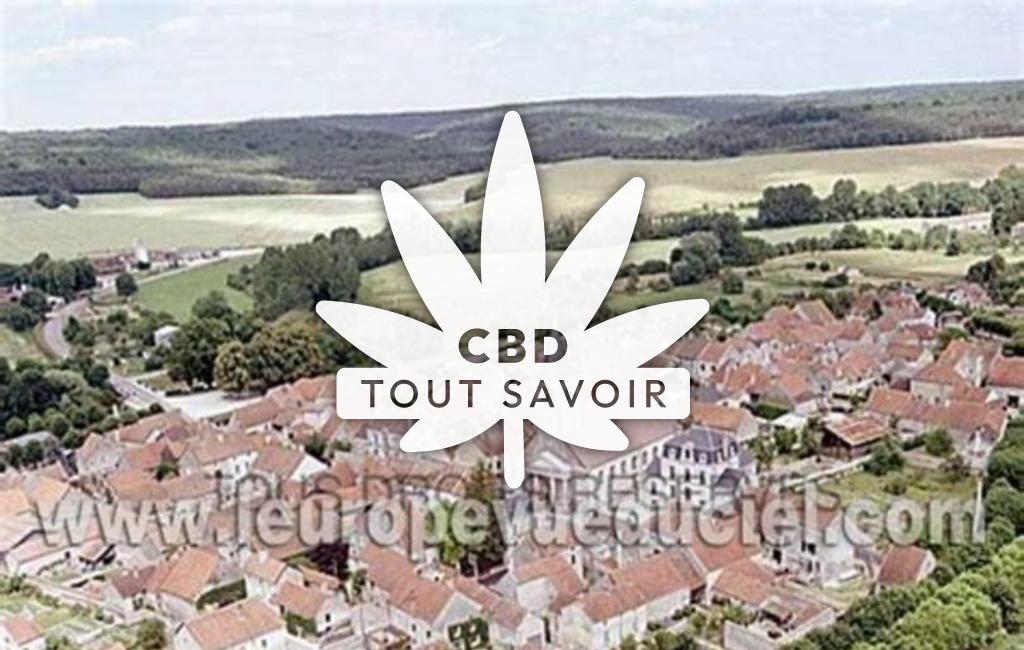 Village à Vanvey avec feuille Cannabis CBD