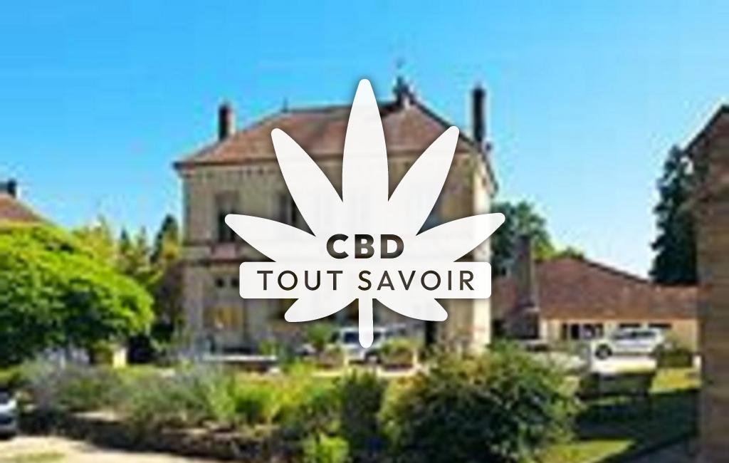 Village à Gissey-sur-Ouche avec feuille Cannabis CBD