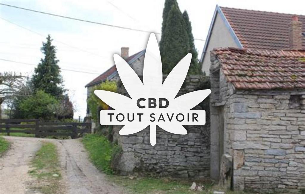 Village à Saint-Jean-de-Boeuf avec feuille Cannabis CBD