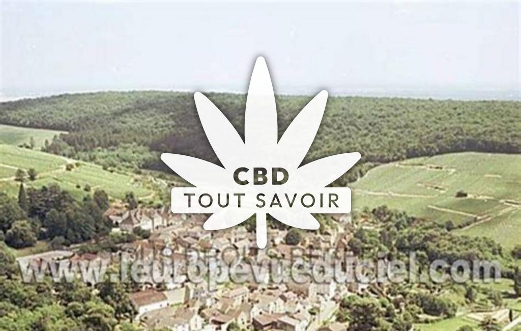 Village à Pernand-Vergelesses avec feuille Cannabis CBD