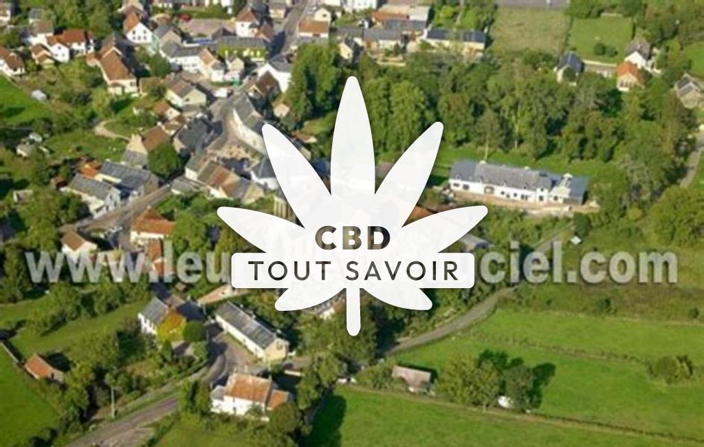 Village à Liernais avec feuille Cannabis CBD