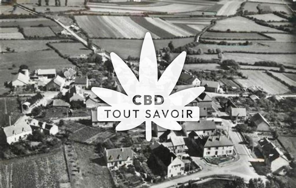 Village à Manlay avec feuille Cannabis CBD