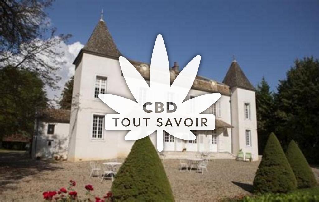 Village à Pellerey avec feuille Cannabis CBD