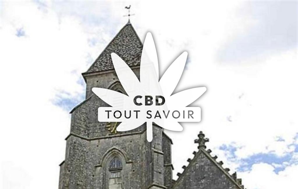 Village à Saint-Seine-l'Abbaye avec feuille Cannabis CBD