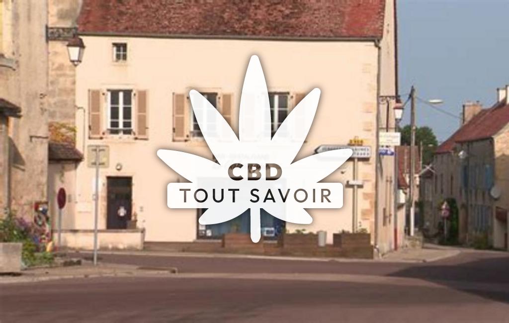 Village à Baigneux-les-Juifs avec feuille Cannabis CBD