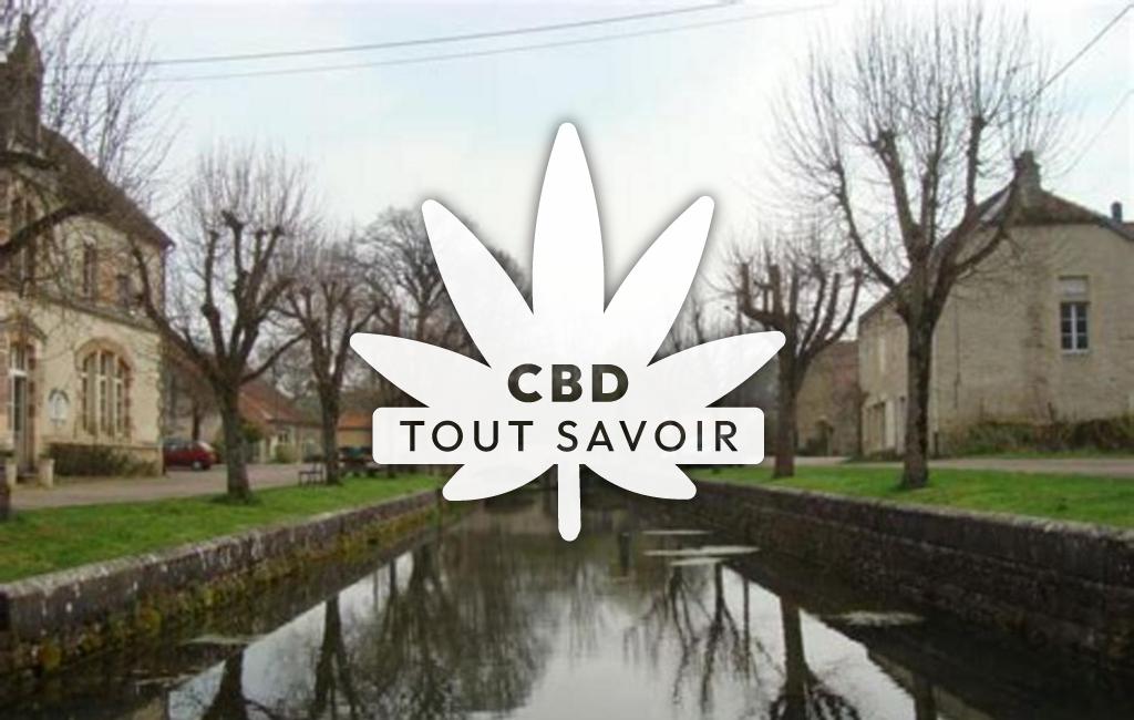 Village à Billy-les-Chanceaux avec feuille Cannabis CBD