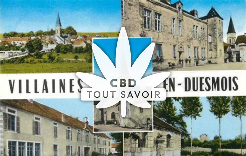 Village à Villaines-en-Duesmois avec feuille Cannabis CBD