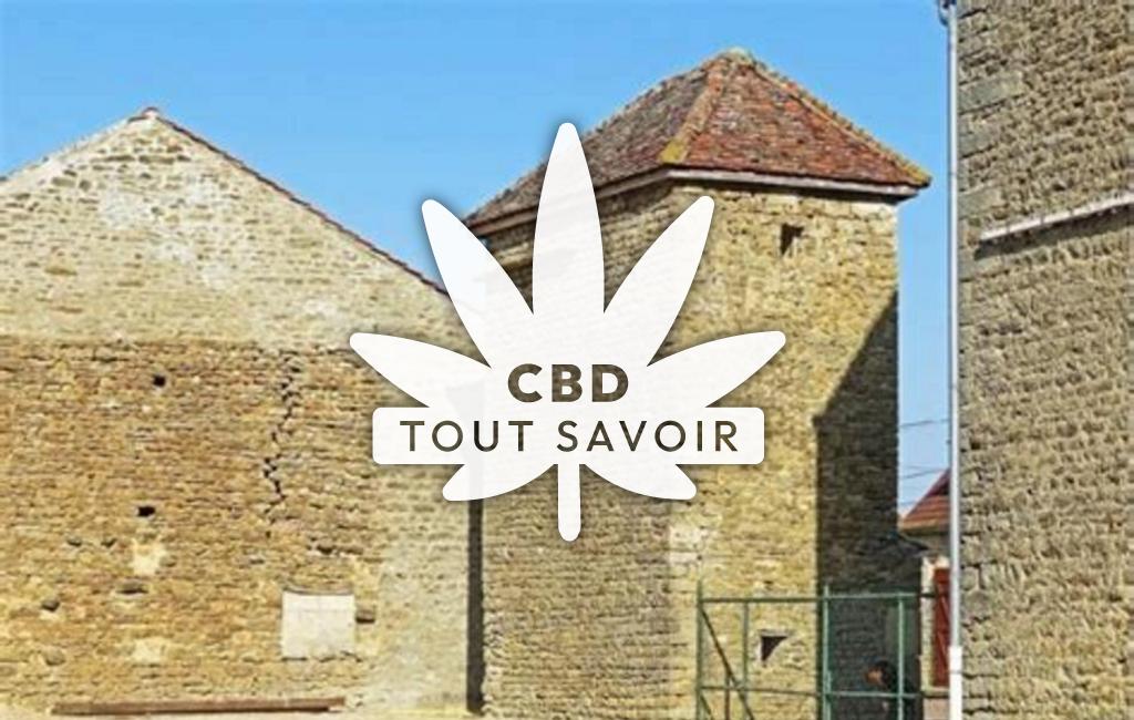 Village à Jeux-les-Bard avec feuille Cannabis CBD