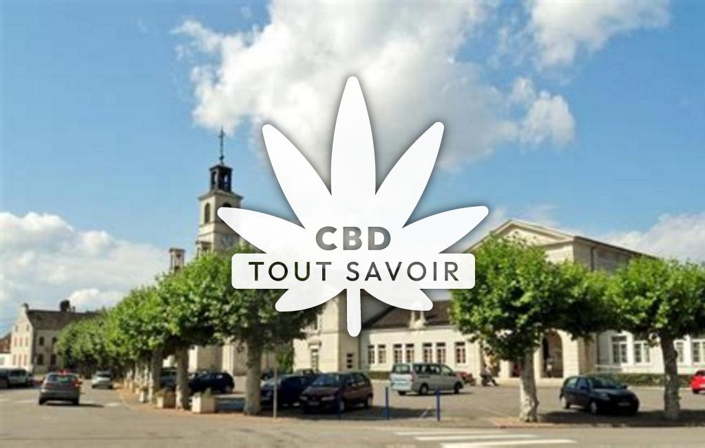 Village à Brazey-en-Plaine avec feuille Cannabis CBD