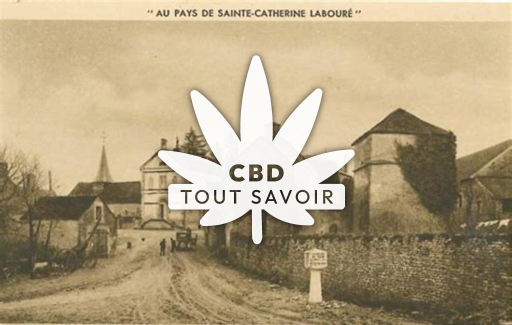 Village à Fain-les-Moutiers avec feuille Cannabis CBD
