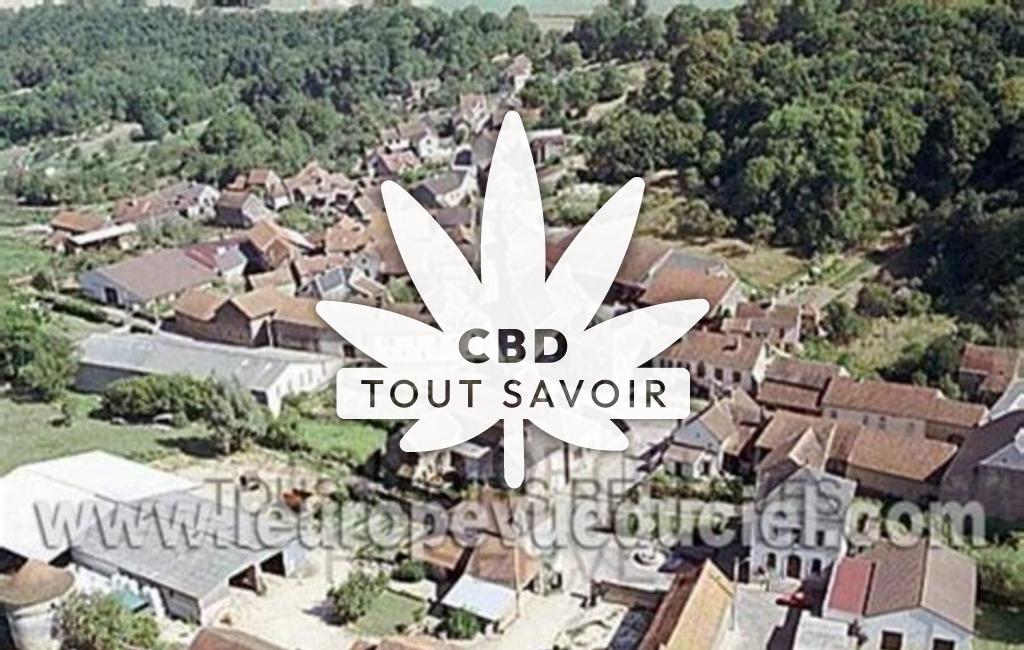 Village à Montigny-Montfort avec feuille Cannabis CBD