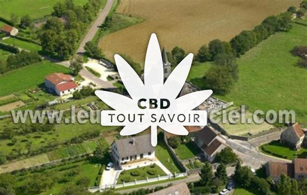 Village à Moutiers-Saint-Jean avec feuille Cannabis CBD