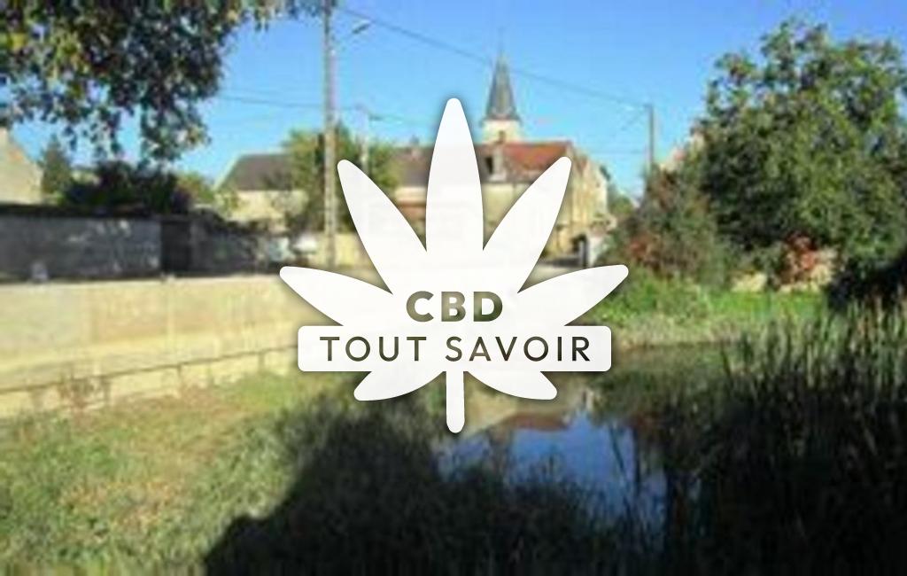 Village à Savoisy avec feuille Cannabis CBD