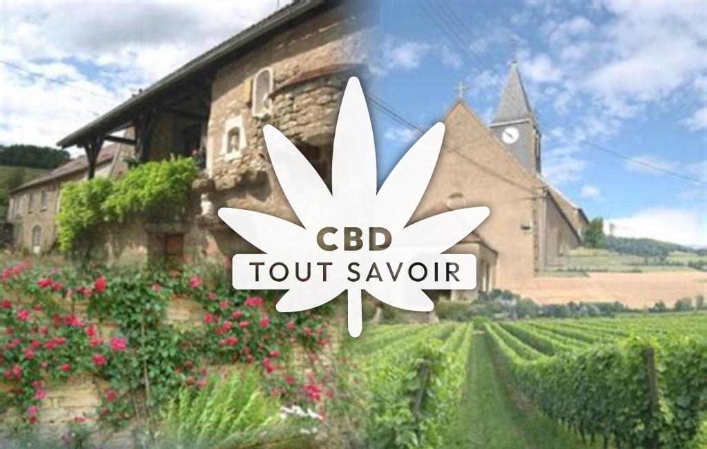 Village à Villaines-les-Prevotes avec feuille Cannabis CBD