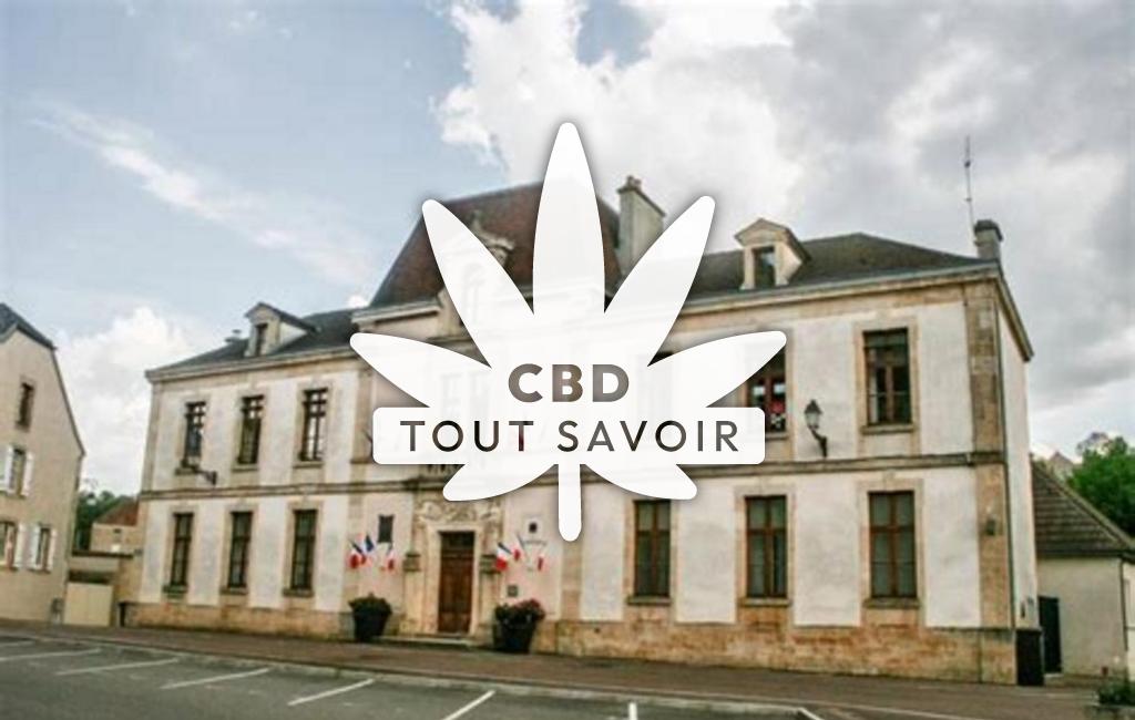 Village à Aignay-le-Duc avec feuille Cannabis CBD