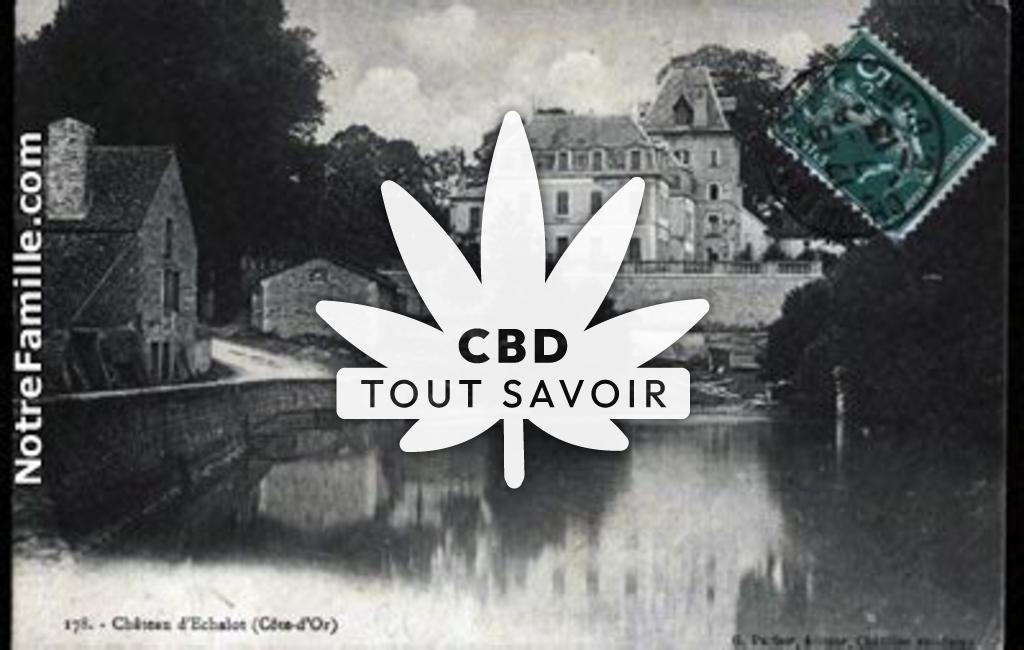 Village à Echalot avec feuille Cannabis CBD