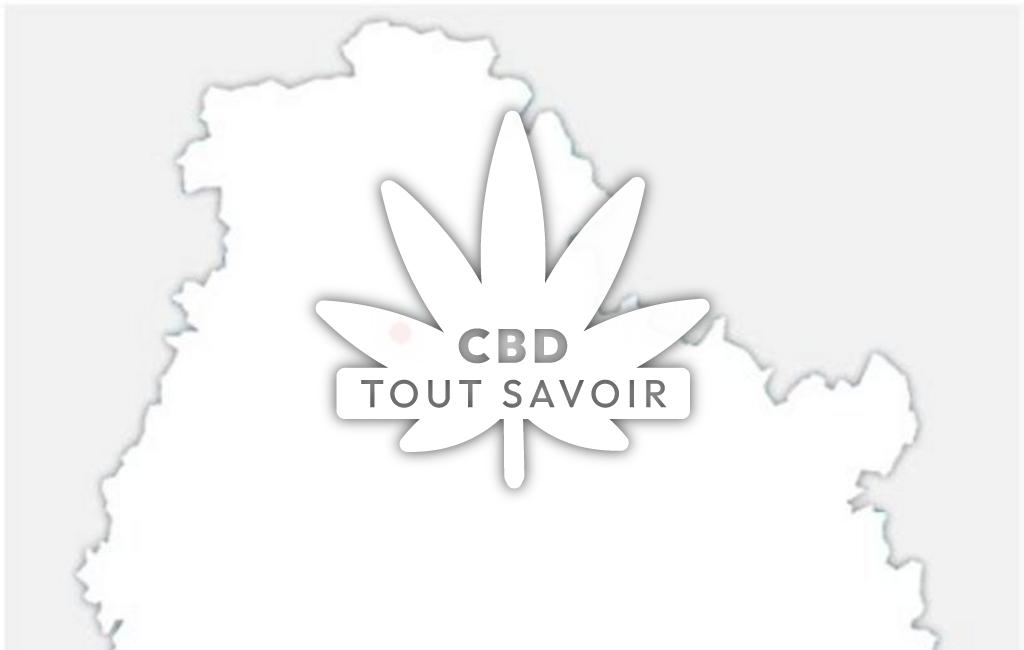 Village à Quemigny-sur-Seine avec feuille Cannabis CBD