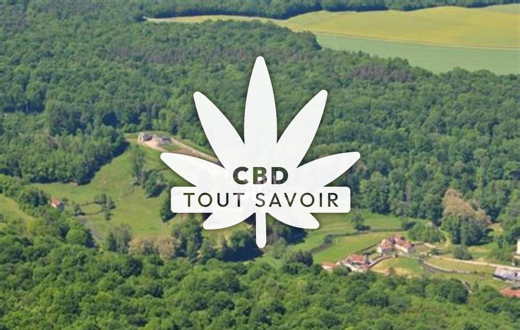 Village à Rochefort-sur-Brevon avec feuille Cannabis CBD