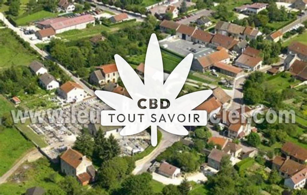 Village à Blaisy-Bas avec feuille Cannabis CBD